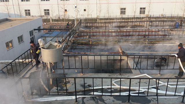 1534301065563587.jpg 20160114_084621.jpg