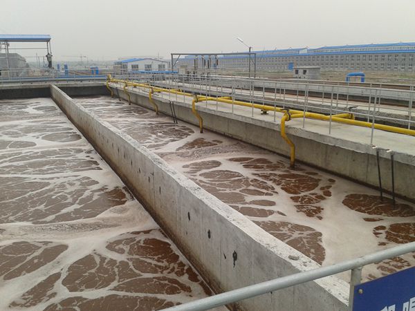 1535092443120230.jpg 201405073.jpg